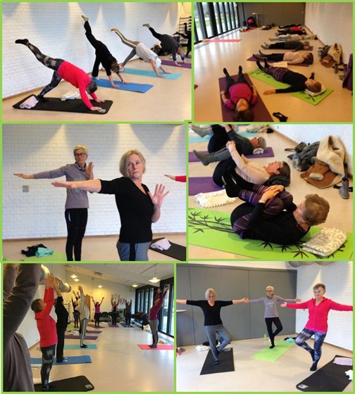 Faerdig Billedcollage Yoga 2017